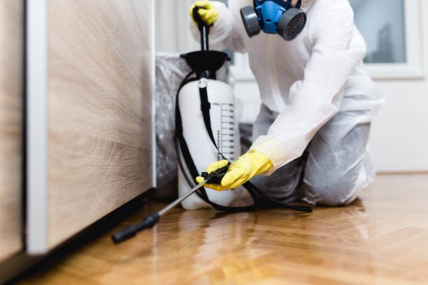 Best Pest Control Treatment  in Greenville, TX